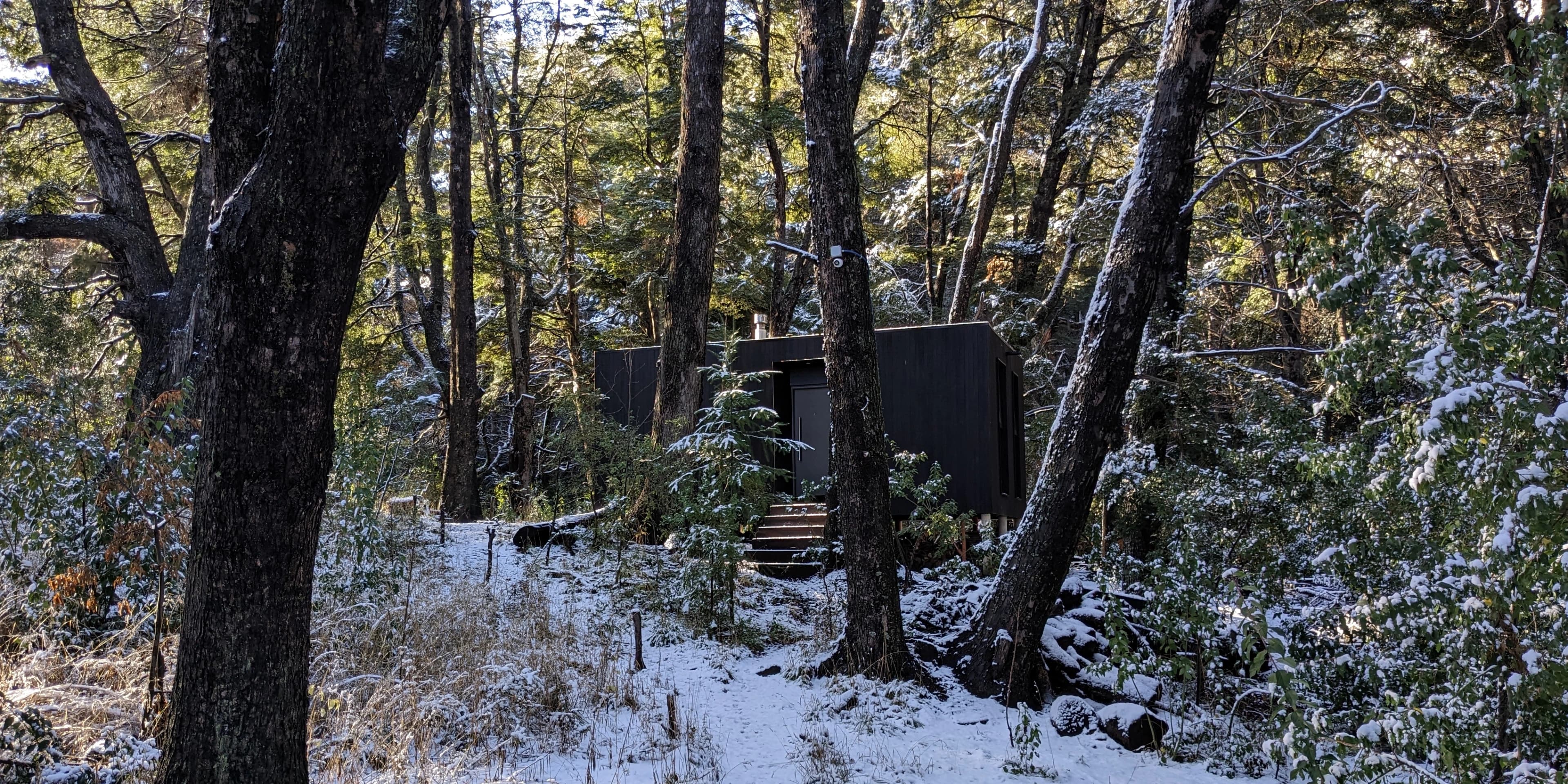 El Bosque Hero